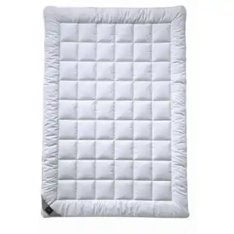 XXXLutz Billerbeck Sommerbett Alcando Angebot