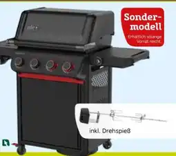 Pflanzen Kölle Weber Gasgrill Spirit EP-435-R Stealth Angebot