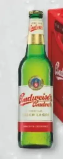 trinkgut Budweiser Budvar (CZ) Czech Premium Lager Angebot