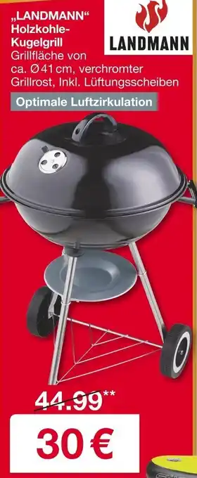 Woolworth LANDMANN Holzkohle Kugelgrill Angebot