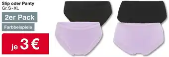 Woolworth Slip oder Panty Angebot
