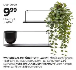 Mömax Kunstpflanze oder wandregal Angebot