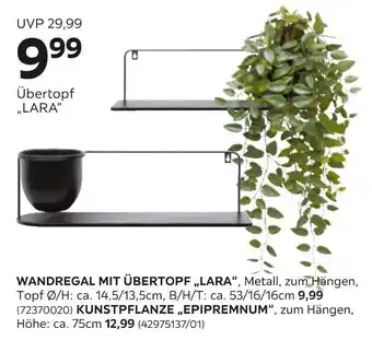 Mömax Kunstpflanze oder wandregal Angebot