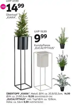 Mömax Übertopf kiara oder kunstpflanze „eucalypthus“ Angebot