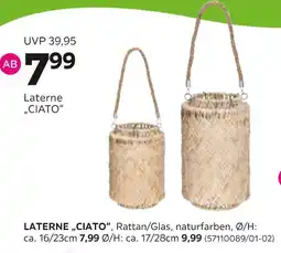 Mömax Laterne ciato Angebot