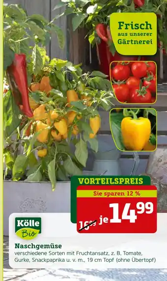 Pflanzen Kölle Kölle bio naschgemüse Angebot
