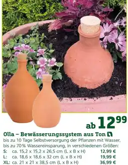 Pflanzen Kölle Olla – bewässerungssystem aus ton Angebot
