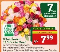 Pflanzen Kölle Schnittrosen – 17 stück im bund Angebot