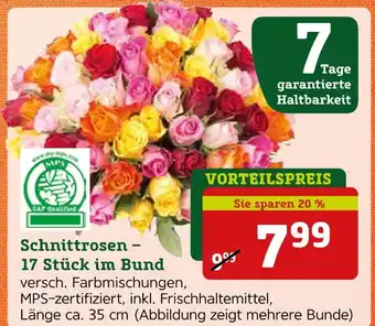Pflanzen Kölle Schnittrosen – 17 stück im bund Angebot
