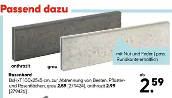 Hellweg Rasenbord Angebot
