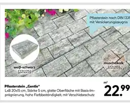 Hellweg Pflasterstein „gentle“ Angebot