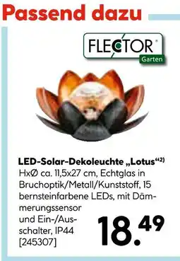 Hellweg Flector led-solar-dekoleuchte „lotus“ Angebot