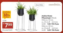 XXXLutz Ambia home pflanztopf Angebot