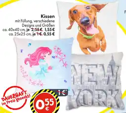 TEDi Kissen Angebot