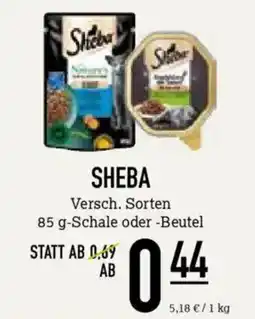 Kölle Zoo Sheba Angebot