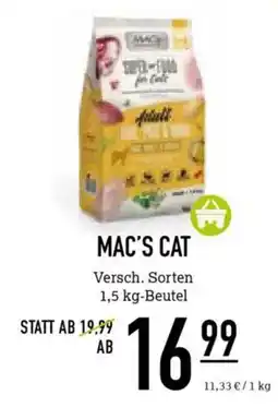 Kölle Zoo MAC'S CAT Angebot