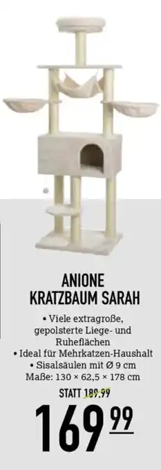 Kölle Zoo ANIONE KRATZBAUM SARAH Angebot