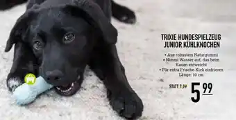 Kölle Zoo TRIXIE HUNDESPIELZEUG JUNIOR KÜHLKNOCHEN Angebot