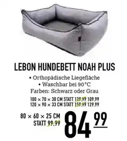 Kölle Zoo LEBON HUNDEBETT NOAH PLUS Angebot