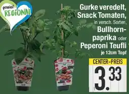 E-Center Gurke veredelt, Snack Tomaten, Bullhornpaprika oder Peperoni Teufli Angebot