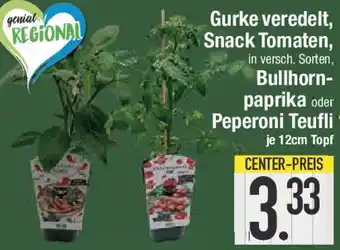 E-Center Gurke veredelt, Snack Tomaten, Bullhornpaprika oder Peperoni Teufli Angebot