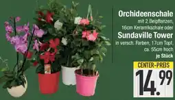 E-Center Orchideenschale oder Sundaville Tower Angebot