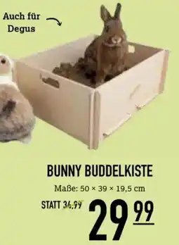 Kölle Zoo BUNNY BUDDELKISTE Angebot