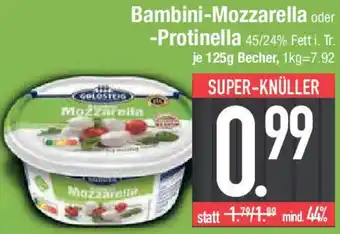 E-Center Goldsteig Bambini-Mozzarella oder Protinella Angebot