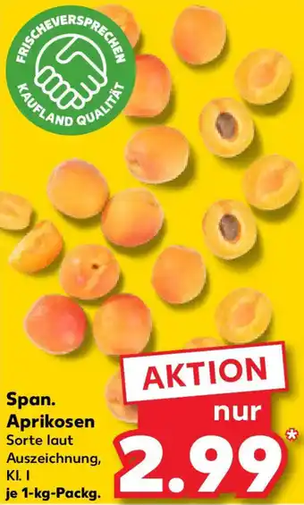 Kaufland Span. Aprikosen Angebot