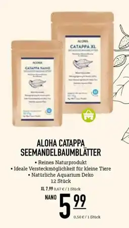 Kölle Zoo ALOHA CATAPPA SEEMANDELBAUMBLÄTTER Angebot