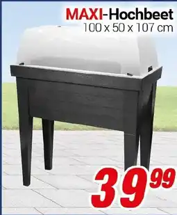 CENTERSHOP MAXI-Hochbeet Angebot