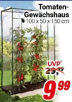 CENTERSHOP Tomaten- Gewächshaus Angebot