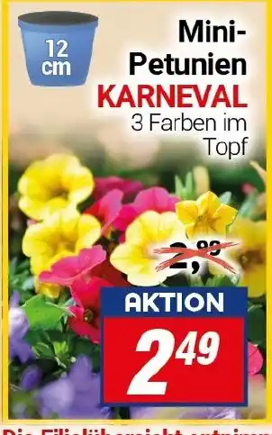 CENTERSHOP Mini- Petunien KARNEVAL Angebot