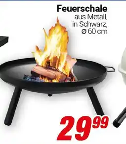 CENTERSHOP Feuerschale Angebot