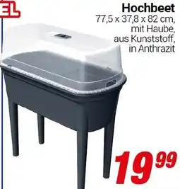 CENTERSHOP Hochbeet Angebot