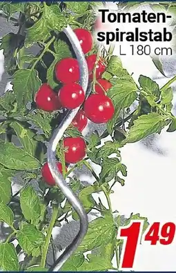 CENTERSHOP Tomaten- spiralstab Angebot