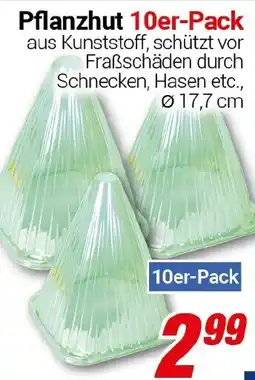 CENTERSHOP Pflanzhut 10er-Pack Angebot