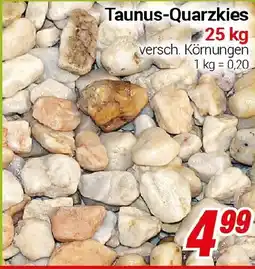 CENTERSHOP Taunus-Quarzkies Angebot