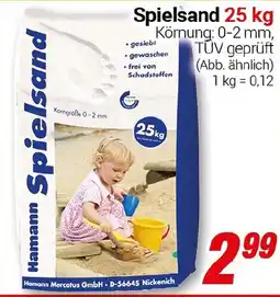 CENTERSHOP Spielsand Angebot