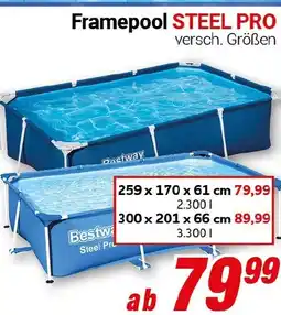 CENTERSHOP Framepool STEEL PRO Angebot