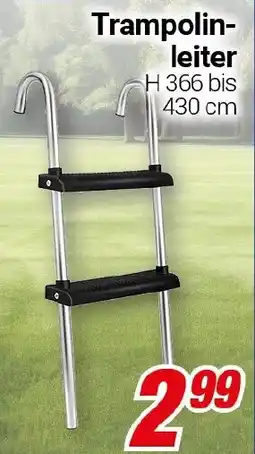 CENTERSHOP Trampolin- leiter Angebot