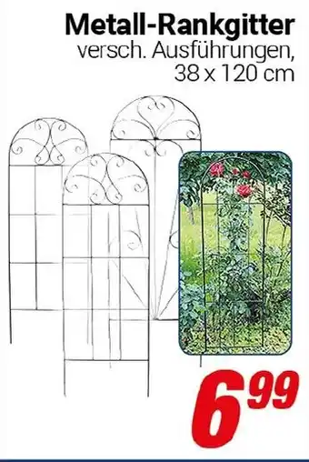 CENTERSHOP Metall-Rankgitter Angebot