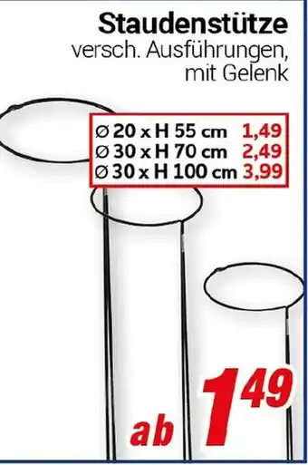 CENTERSHOP Staudenstütze Angebot
