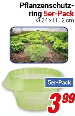 CENTERSHOP Pflanzenschutz- ring 5er-Pack Angebot