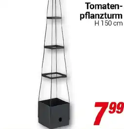 CENTERSHOP Tomaten- pflanzturm Angebot