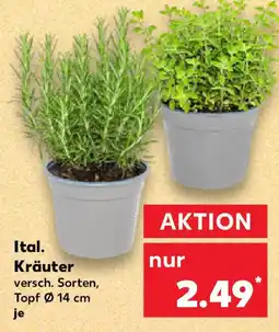 Kaufland Ital. Kräuter Angebot