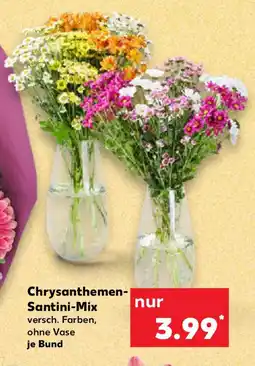 Kaufland Chrysanthemen- Santini-Mix Angebot