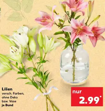 Kaufland Lilien Angebot