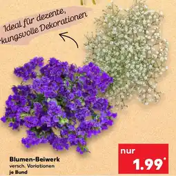 Kaufland Blumen-Beiwerk Angebot