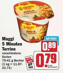 Hit Maggi 5 Minuten Terrine Angebot